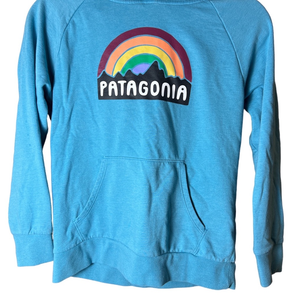 Patagonia Hoodie Kids girls size XL (14)